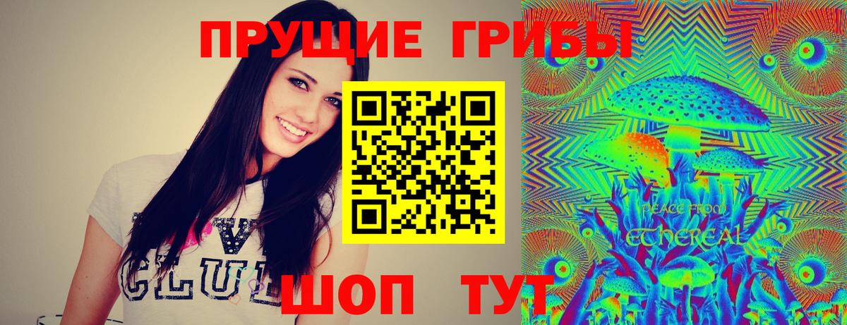 Псилоцибиновые грибы Psilocybine cubensis  Вход с VPN  Гатчина 