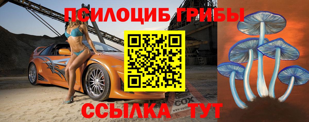 Псилоцибиновые грибы Magic Shrooms Гатчина